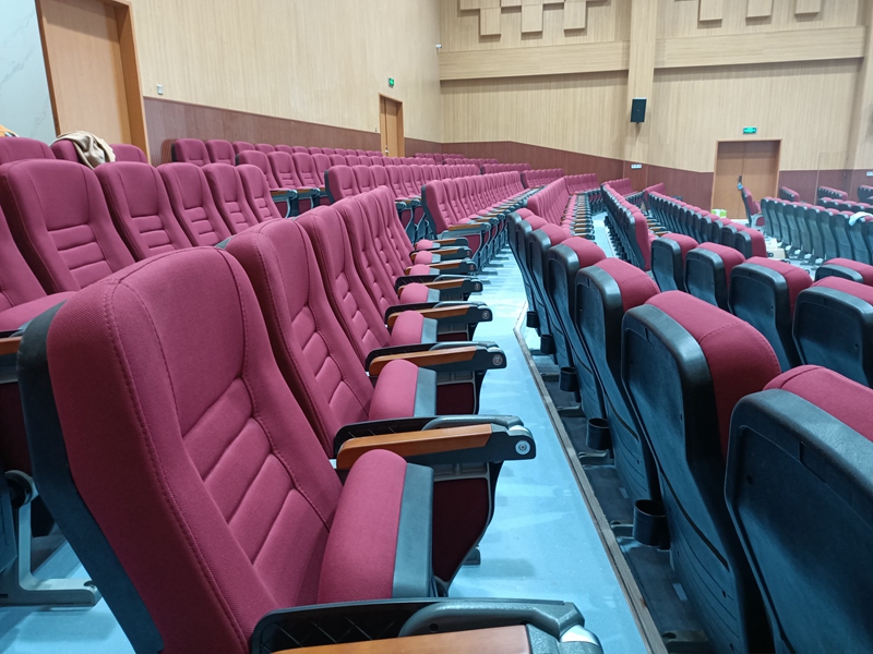 廣州典創高端定制禮堂椅效果圖展示